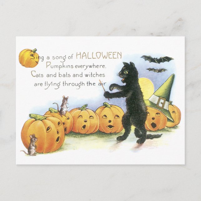 Svart katt som leder Jack O' Lantern Halloween-kör Vykort (Framsida)