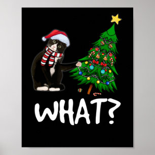 Svart katt som pressar Julgran över katt Poster