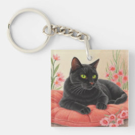 Svart katt som vilar