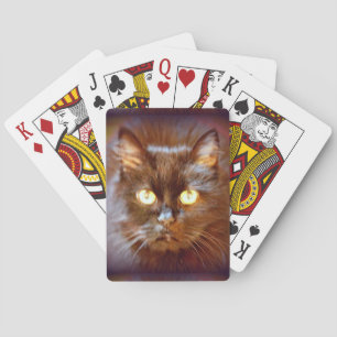 svart katt spelkort