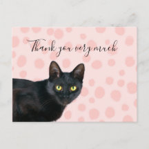 Svart katt tack så mycket på rosa punkter