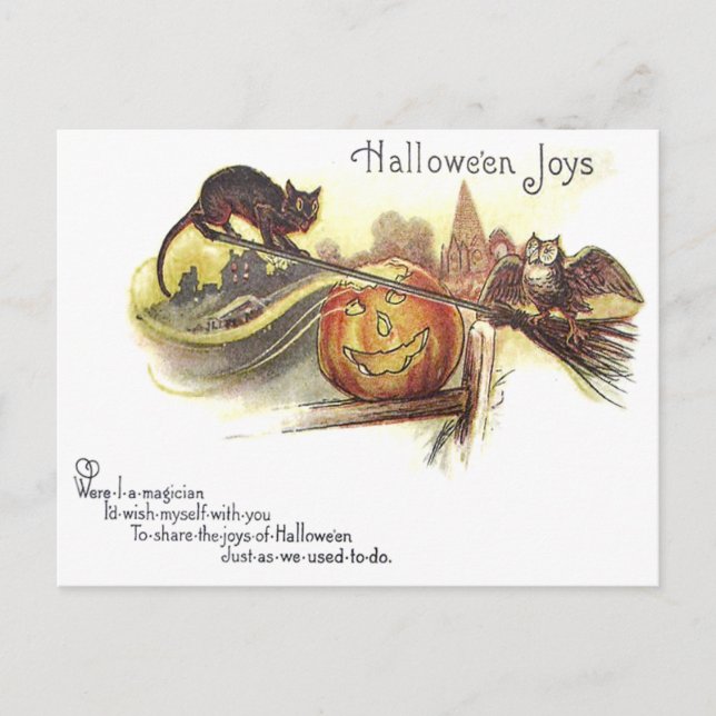 Svart Katt Ugglas Jack O' Lantern Häxans Sopborste Vykort (Framsida)