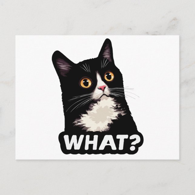 Svart Katt Vad? Vykort (Framsida)