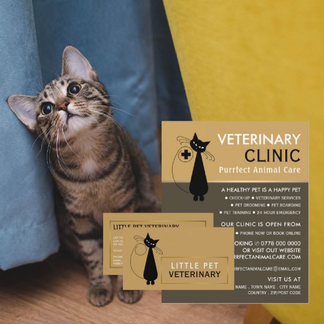 Svart katt, veterinär, veterinärtjänst reklamblad (Skapare uppladdad)
