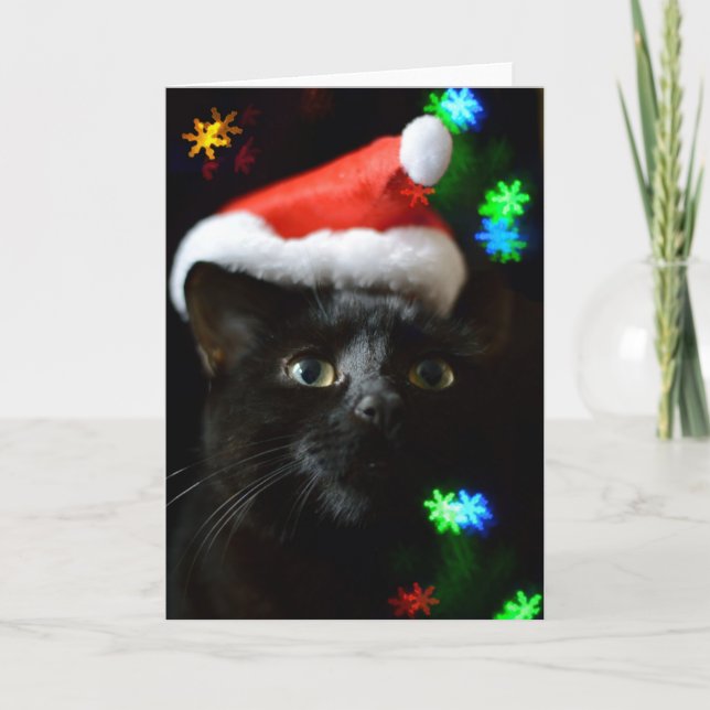 Svart katt vid jultid helgkort (Framsida)