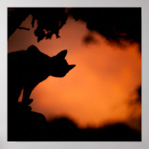 Svart katt vid Sunset Halloween