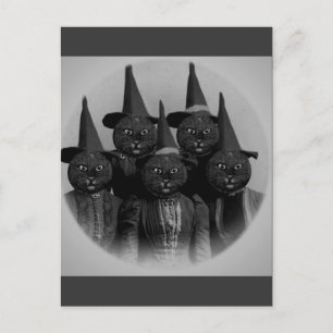 Svart katt/vintage vykort