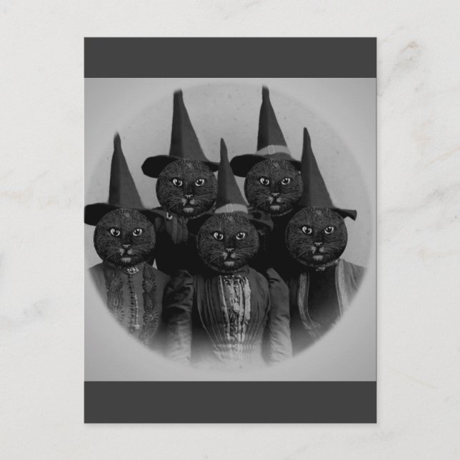 Svart katt/vintage vykort (Framsida)