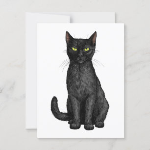 Svart katt vykort