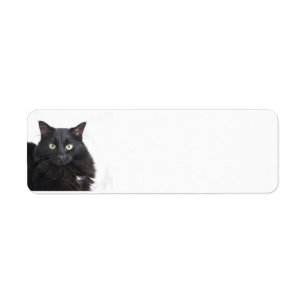Svart kattadressetiketter returadress etikett