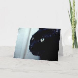 Svart kattansikte kort