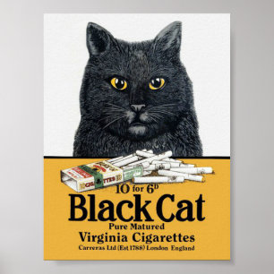 Svart kattcigarettaffisch poster