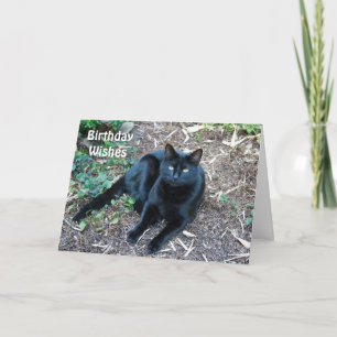 Svart kattfödelsedagkort 1 kort
