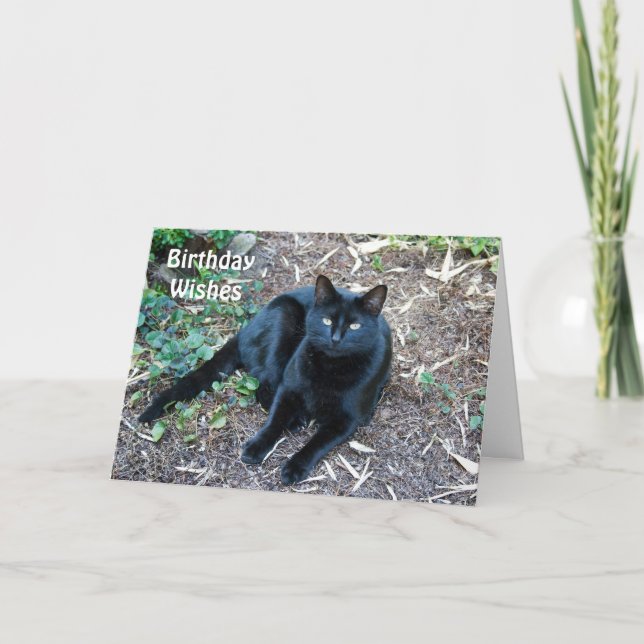 Svart kattfödelsedagkort 1 kort (Framsida)