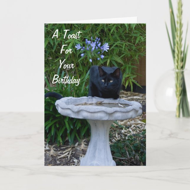 Svart kattfödelsedagkort 2 kort (Framsida)
