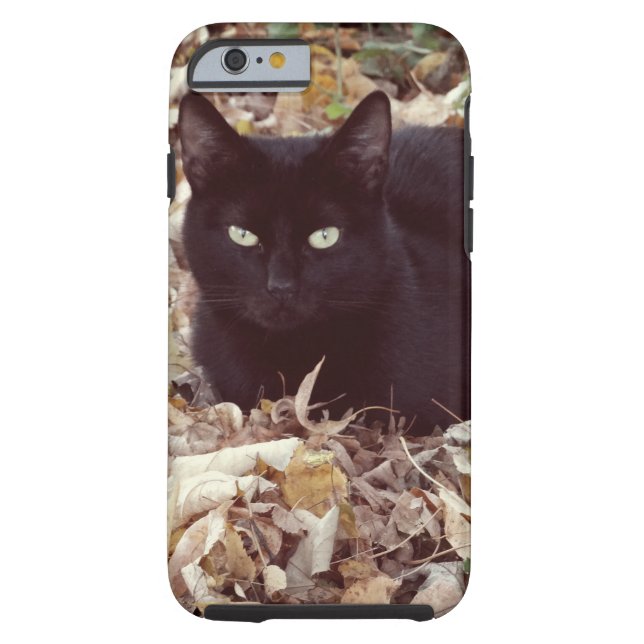 Svart kattfotoiPhone 6/6s, tuff Case-Mate iPhone Skal (Baksidan)