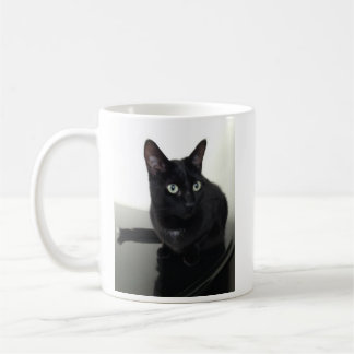 Svart kattkaffekopp kaffemugg