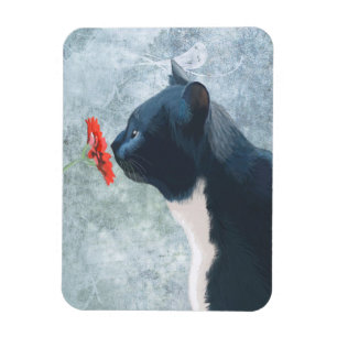 Svart kattlöss magnet