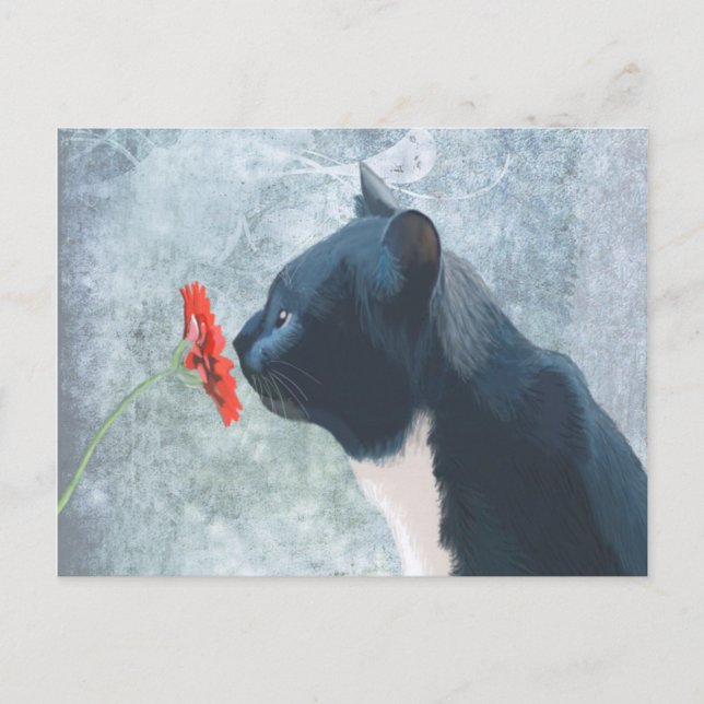 Svart kattlöss vykort (Framsida)