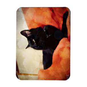 Svart kattmagnet magnet