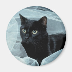 Svart kattmagnet magnet