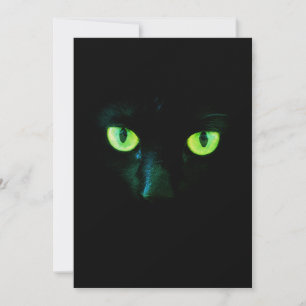 Svart kattmall med grönt