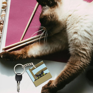 Svart Kattmat Rolig Hungrig Katt Humor