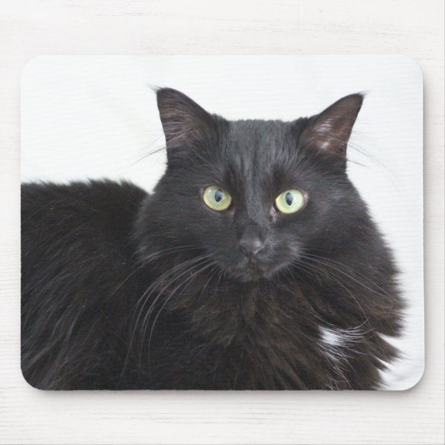 Svart kattmunspad musmatta (Framsidan)