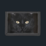 Svart kattporträtt<br><div class="desc">Svart kattporträtt. Matcha objekt som är tillgängliga i vårt lager.</div>