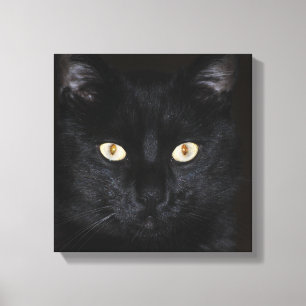 Svart kattporträtt canvastryck