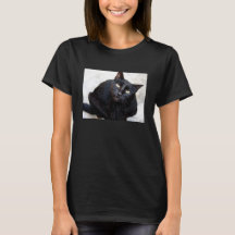 Svart kattporträtt