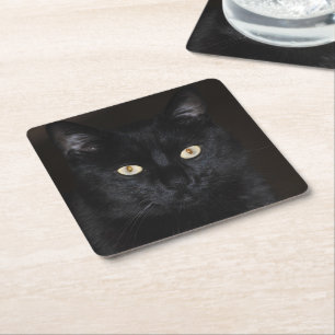 Svart kattporträtt underlägg papper kvadrat