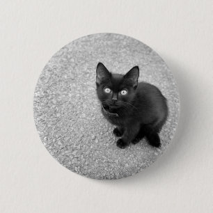 Svart kattunge knapp