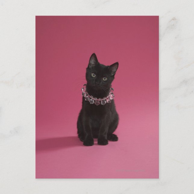 Svart kattunge med smyckat halsband vykort (Framsida)