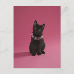 Svart kattunge med smyckat halsband vykort