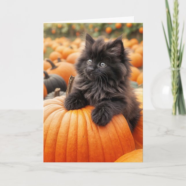 Svart kattunge på Orange Pumpkin Kort (Framsida)