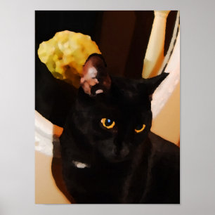 Svart kattunge poster