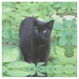 Svart kattungekatt i trädgård tyg