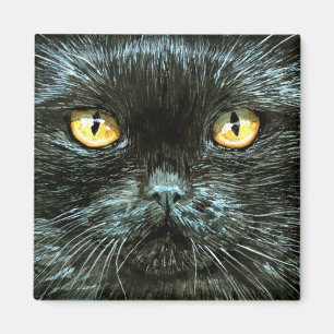Svart kattungekattansikte, Halloween magnet