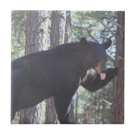 Svart keramisk platta kakelplatta