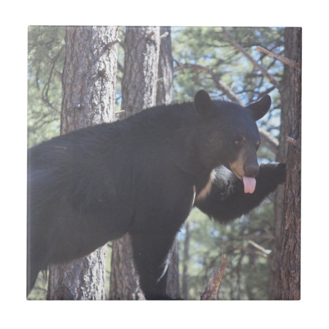 Svart keramisk platta kakelplatta (Framsidan)