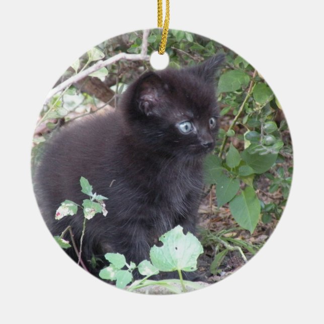 Svart kitten ornament (Framsidan)