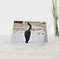 Svart Kitty Katt Söt Anpassningsbar Kort