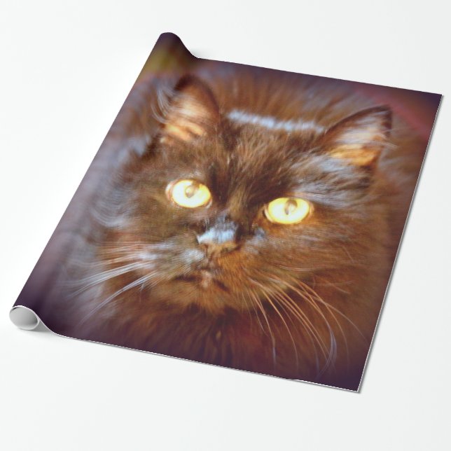 svart kittykatt presentpapper (Utrullad)