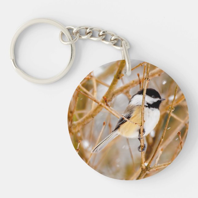 Svart-klädd chickadee - originalfoto (Framsidan)