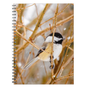 Svart-klädd chickadee - originalfoto anteckningsbok