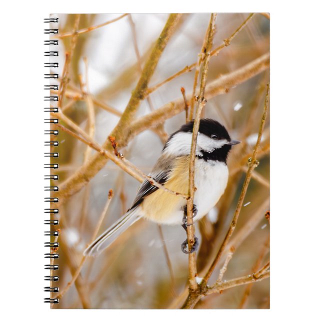 Svart-klädd chickadee - originalfoto anteckningsbok (Framsidan)