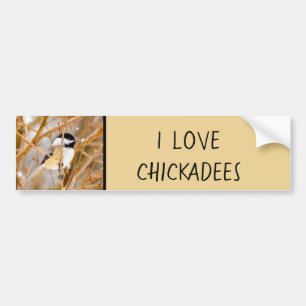Svart-klädd chickadee - originalfoto bildekal