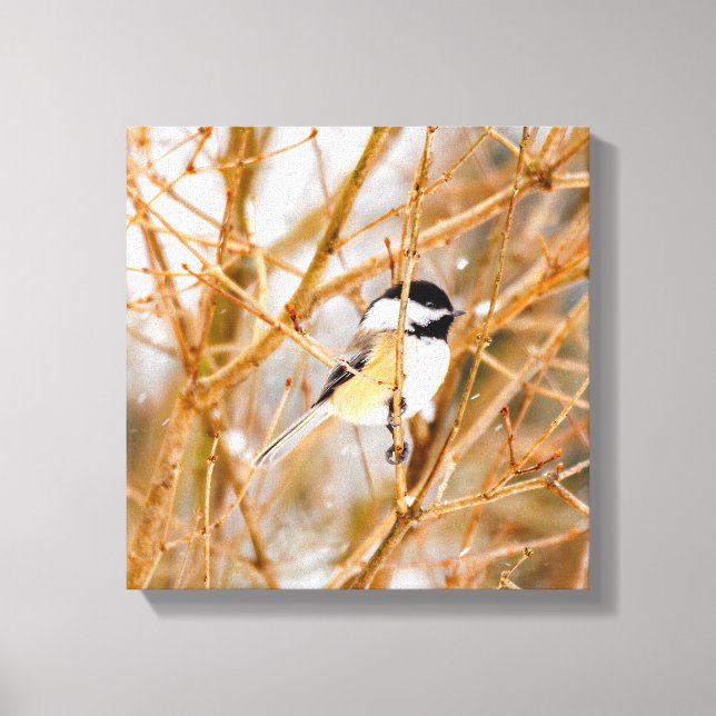 Svart-klädd chickadee - originalfoto canvastryck (Framsida)