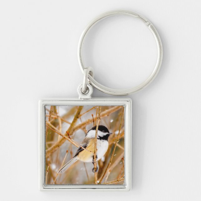 Svart-klädd chickadee - originalfoto fyrkantig silverfärgad nyckelring (Framsidan)